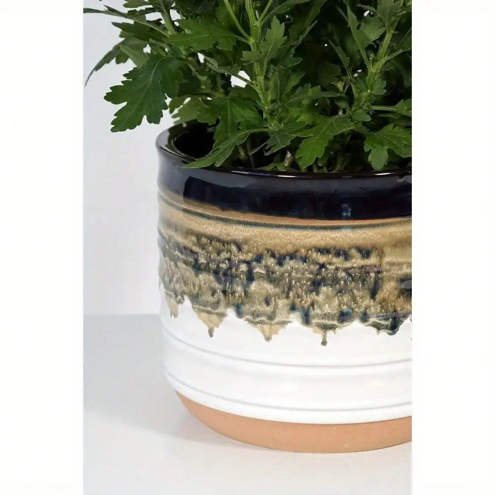 12-inch ceramic plant pot for all plants indoors and outdoors, ideal size for windowsills, tables and other indoor surfaces