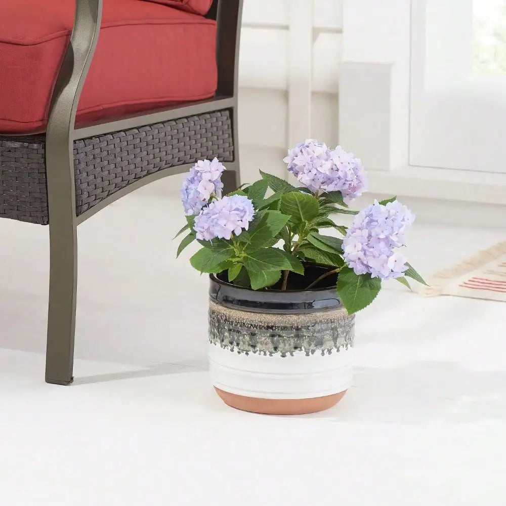 12-inch ceramic plant pot for all plants indoors and outdoors, ideal size for windowsills, tables and other indoor surfaces