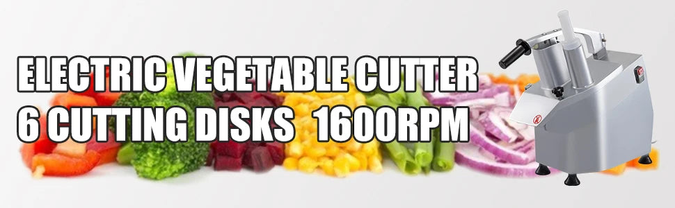 SucceBuy Electric Vegetable Fruit Cutter with 6 x Cutting Disks Vegetable Slicer Food Processor for Potato Cabbage Onion
